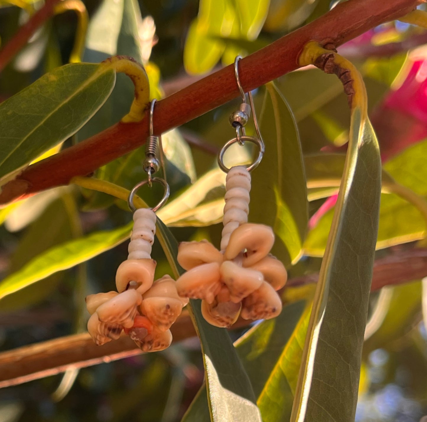 Shell Money Drop Earrings | Solomon Ware