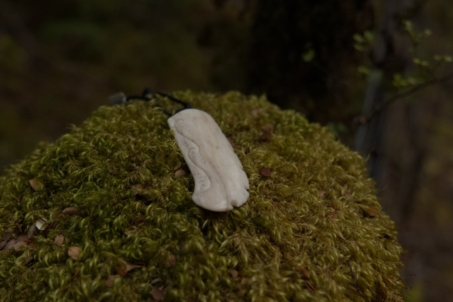Bone Carving Taonga