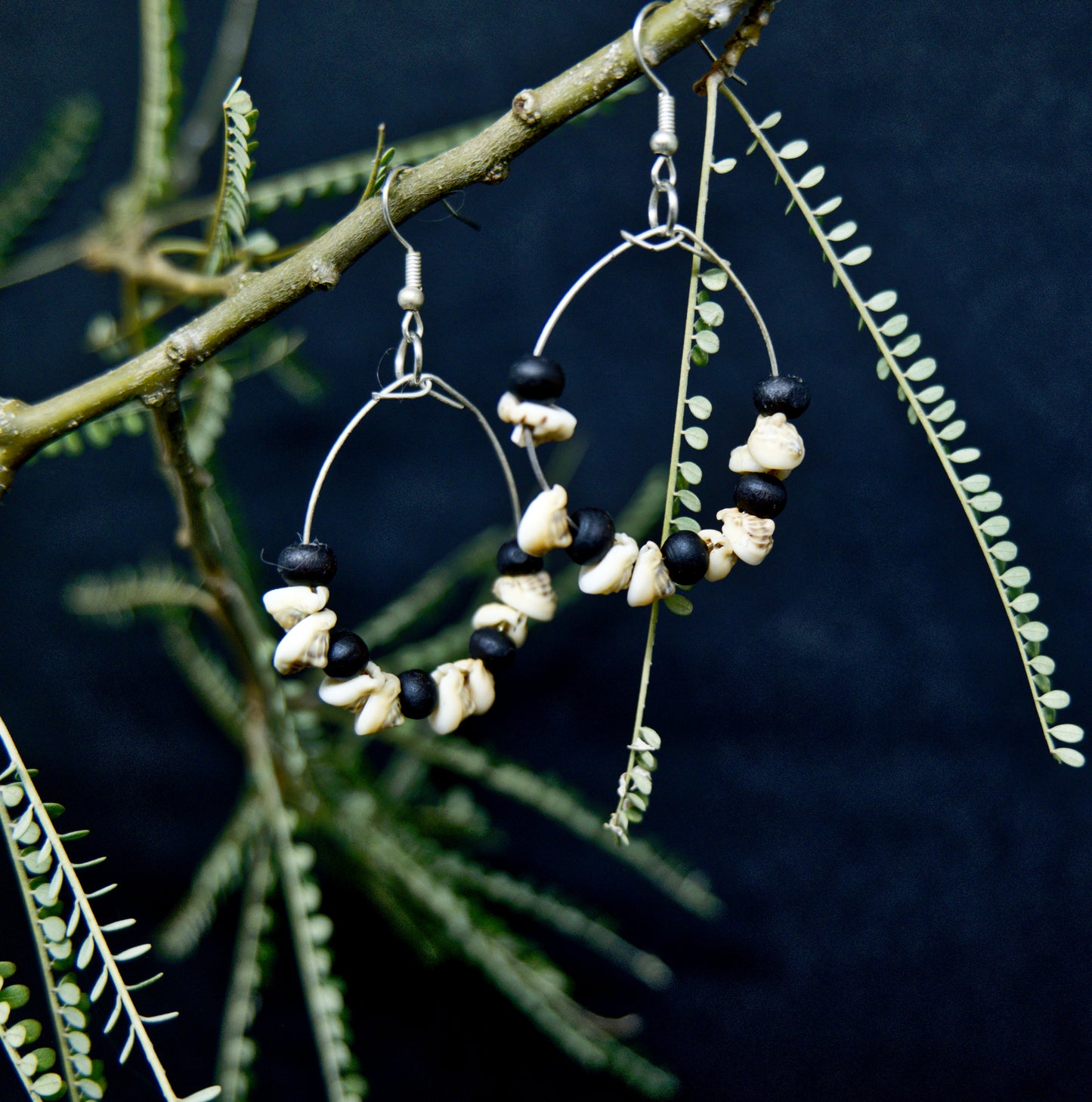 Shell Money Hoop Earrings - Solomon Islands