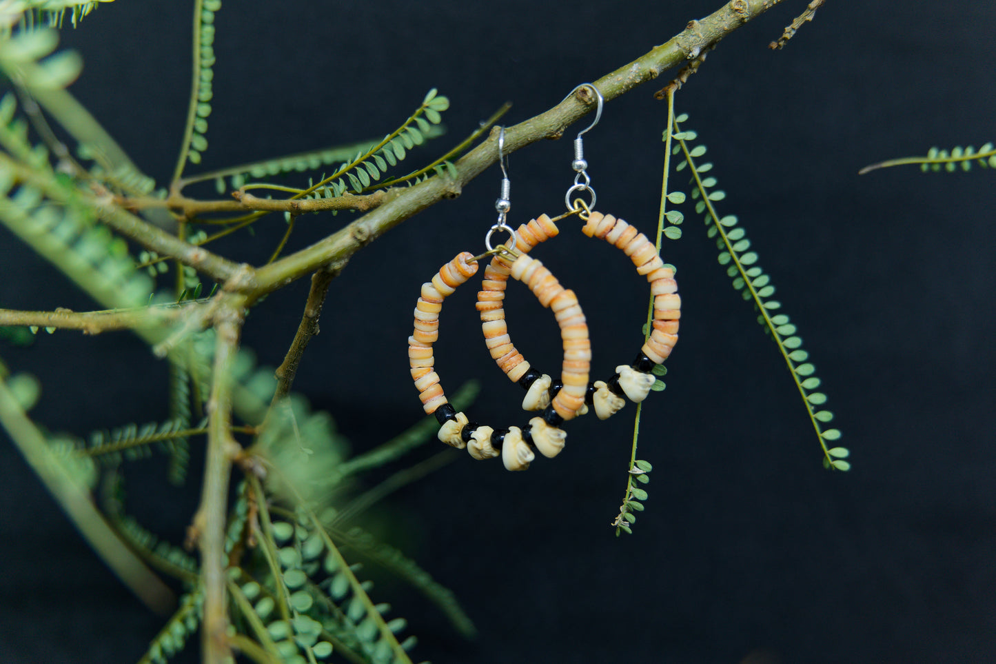Shell Money Hoop Earrings - Solomon Ware
