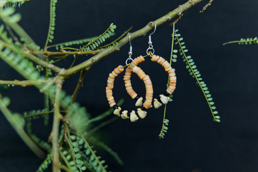 Shell Money Hoop Earrings - Solomon Ware