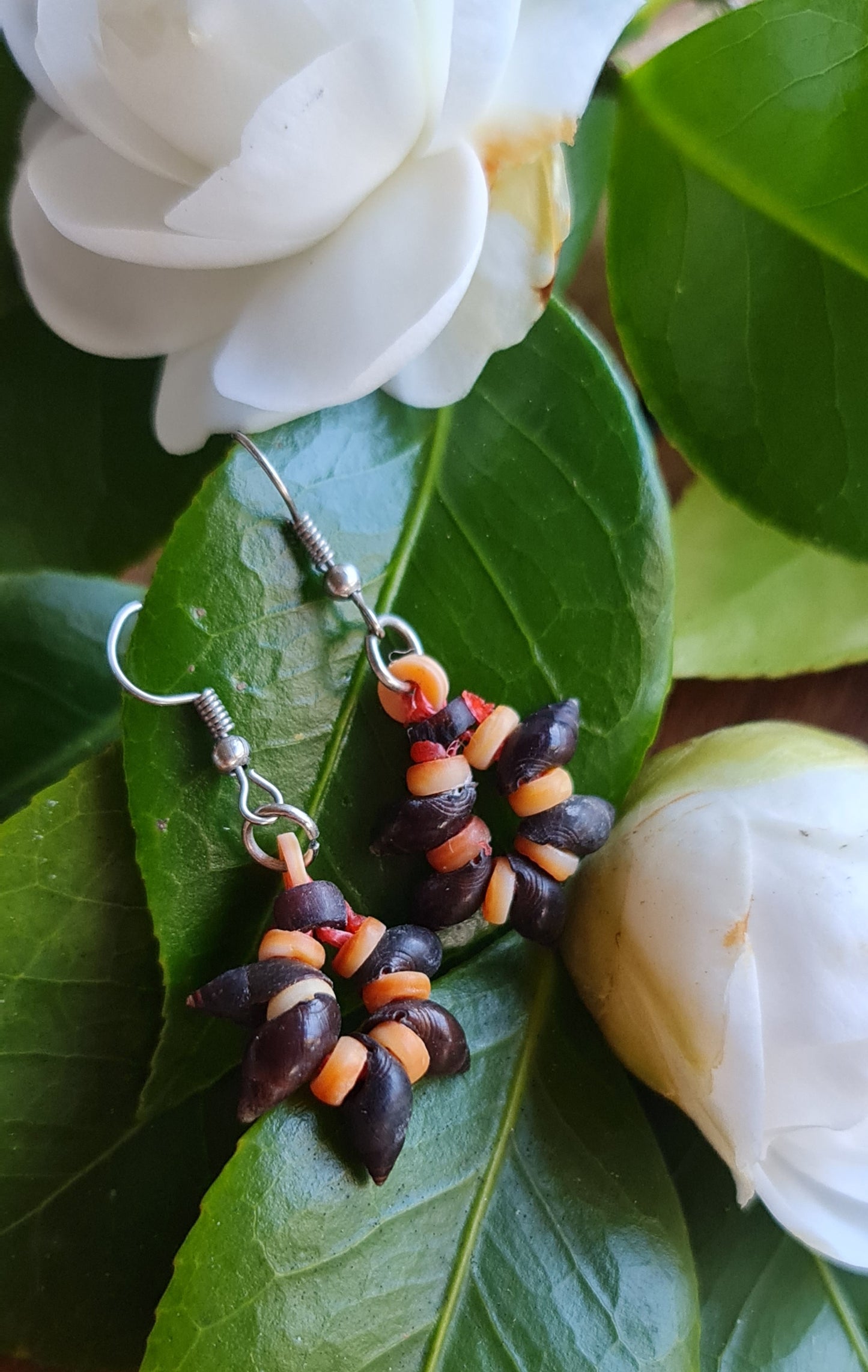 Shell Money Earrings - Solomon Ware