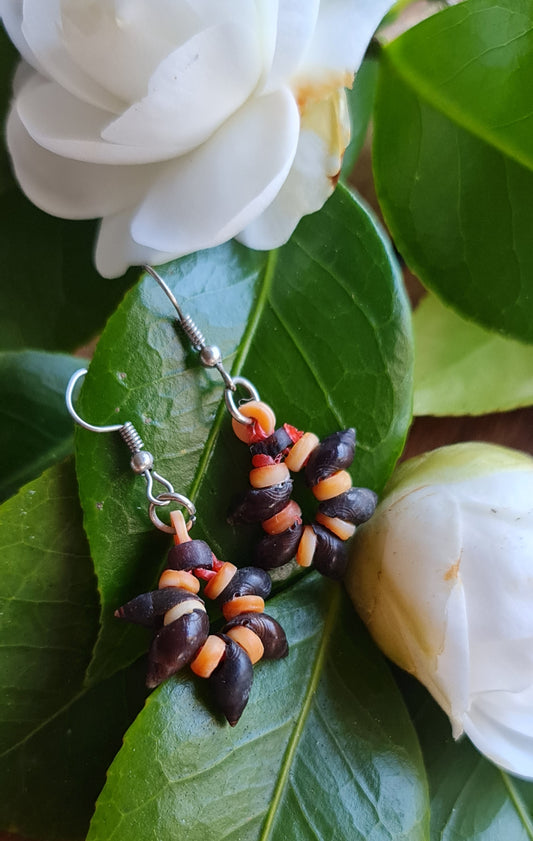 Shell Money Earrings - Solomon Ware