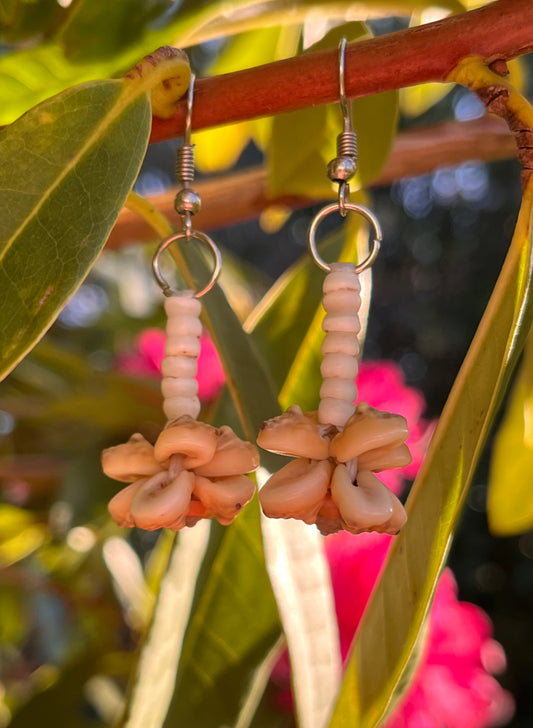 Shell Money Drop Earrings  |  Solomon Ware